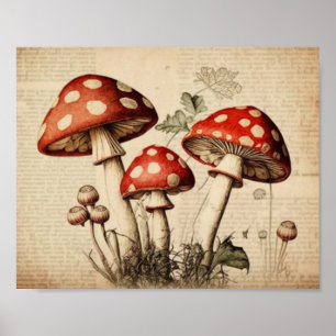 Poster Vintage French Mushroom Page Wall Art