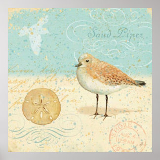 Poster Vintage French Sand Piper