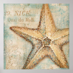 Pôster Vintage French Starfish Art