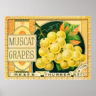 Poster Vintage Fruta Crate Label Art, Muscat Graphics