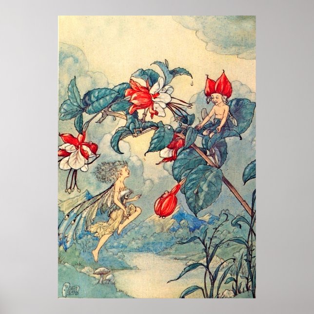 Poster Vintage Fuchsia Fairies (Frente)