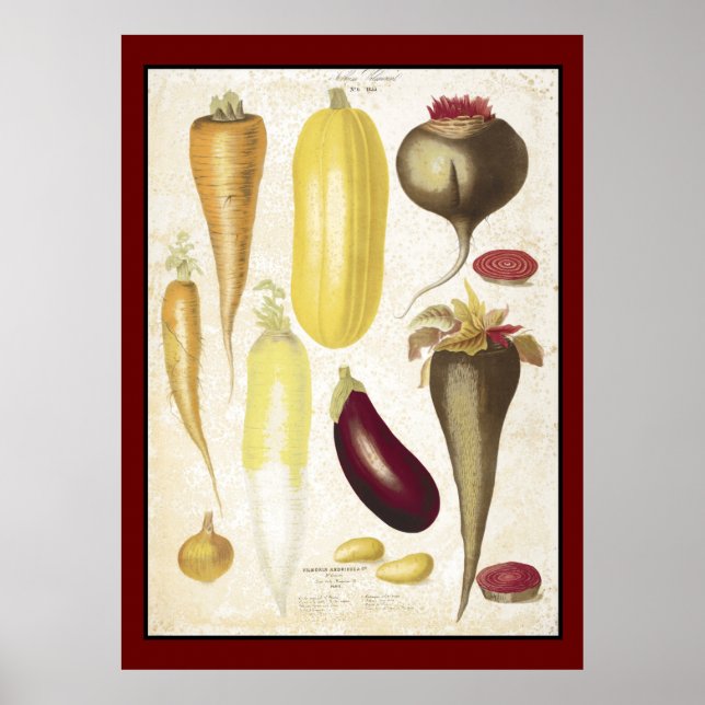 Poster Vintage Garden Vegetais Cozinha (Frente)