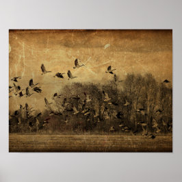Poster Vintage Geese Antiguidade Sepia Textura de fauna s