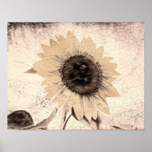 Poster Vintage Giant Sunflower Sepia Brown Yellow Texture
