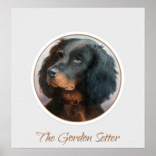 Poster Vintage Gordon Setter