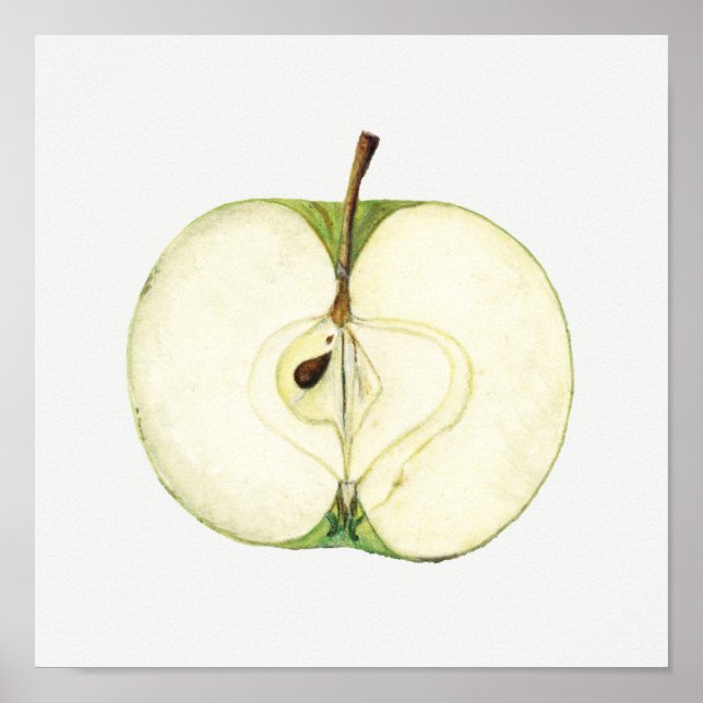 Poster Vintage Green Apple Fruta Painting (Frente)