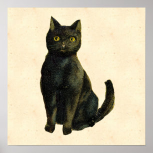 Pôster Vintage Halloween Cat