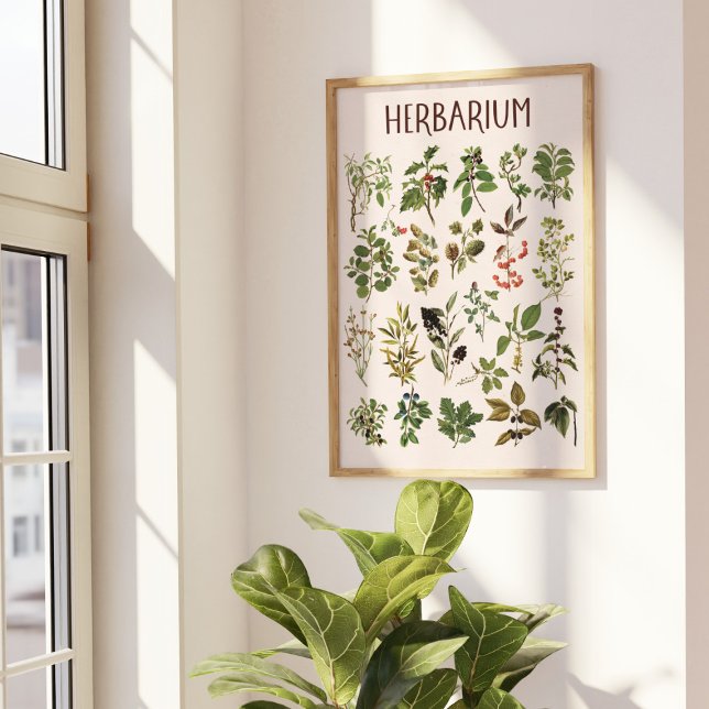 Poster Vintage Herbarium Green Plant Chart Wall Art (In situ under sunlight)