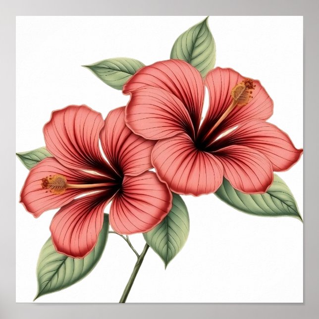 Poster Vintage Hibiscus (Frente)
