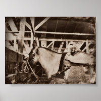 Vintage Horse