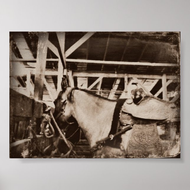 Pôster Vintage Horse (Frente)