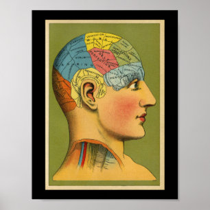 Pôster Vintage Human Phrenology Print