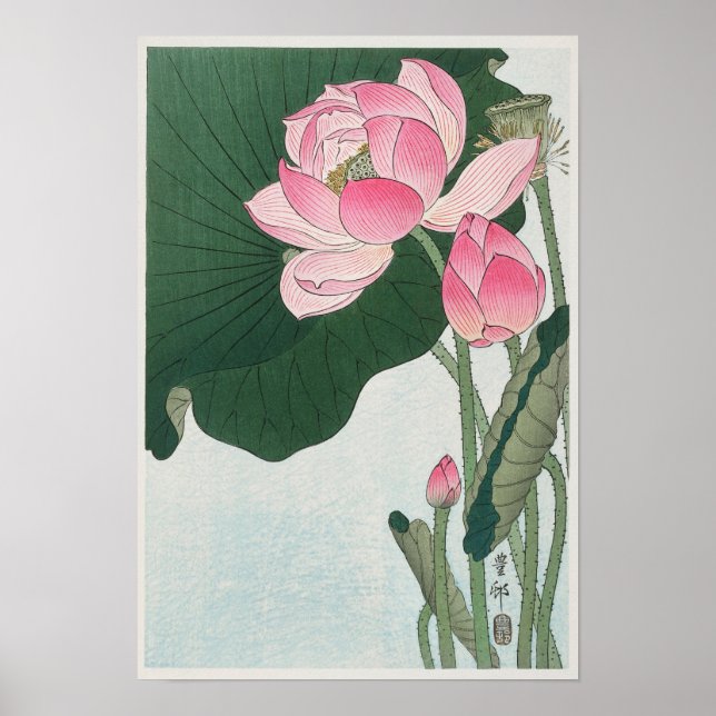Poster Vintage Japonês Blooming Lotus Flowers (Frente)