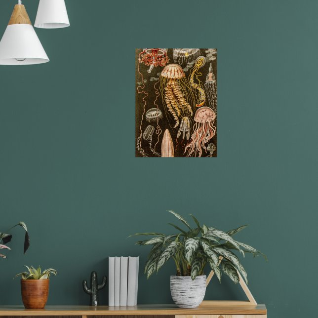 Poster Vintage Jellyfish Antique Jelly Fish Illustration | Zazzle