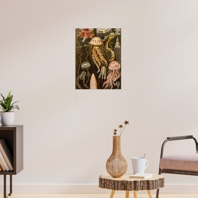 Poster Vintage Jellyfish Antique Jelly Fish Illustration | Zazzle