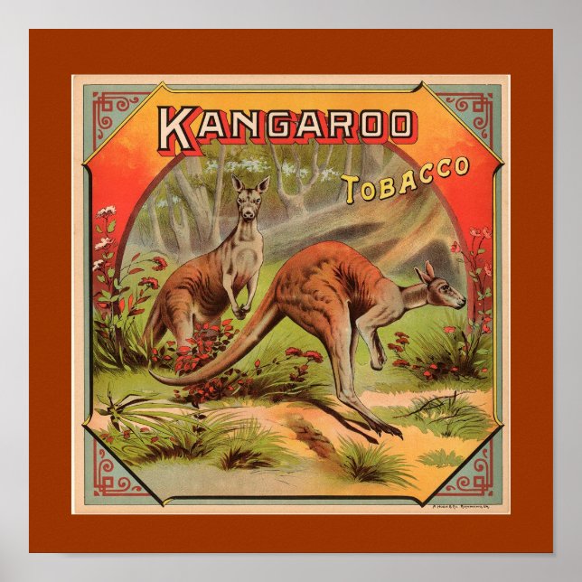 Poster Vintage Kangaroo Advertisement (Frente)