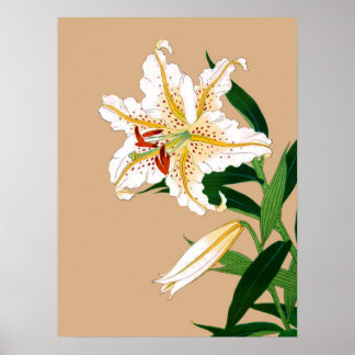 Pôster Vintage, Liliy Japonês. Branco, Verde e bege n