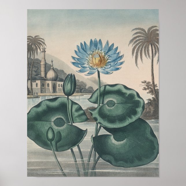 Poster Vintage Lotus (Frente)