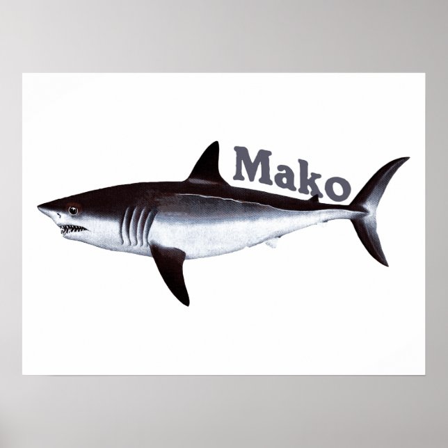 Pôster Vintage Mako Shark (Frente)
