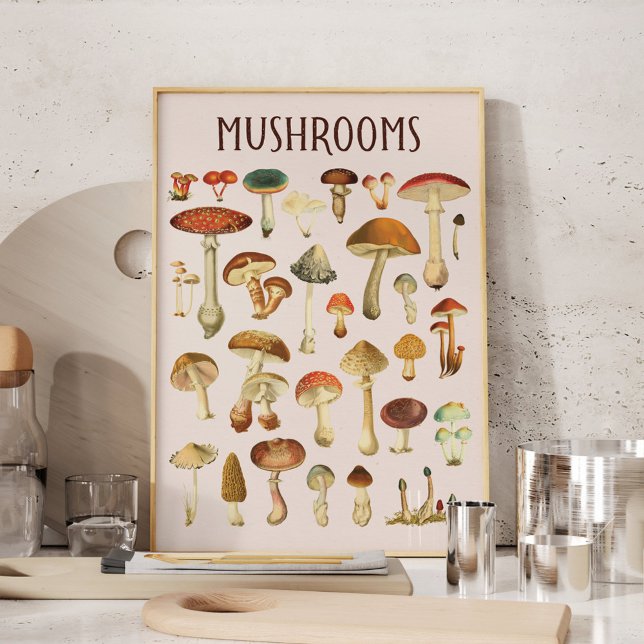 Poster Vintage Mushroom Chart Wall Art (In situ in kitchen)