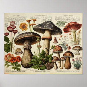 Poster Vintage Mushroom Cottagecore