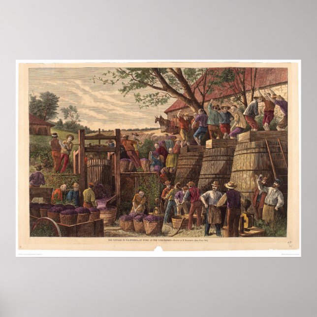 Pôster Vintage na Califórnia (0604A) (Frente)