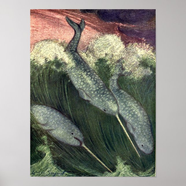 Poster Vintage Narbaleias, Animais do Oceano Marinho (Frente)