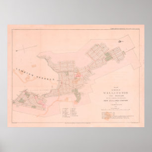 Poster Vintage Nova Zelândia (1841)