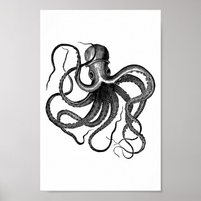 Pôster Vintage Octopus Illustration (Frente)