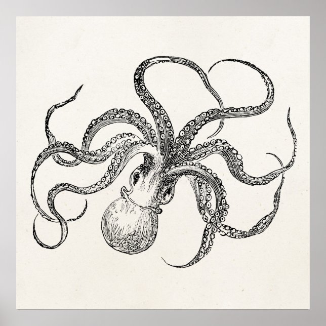 Pôster Vintage Octopus Modelo no papel antigo (Frente)