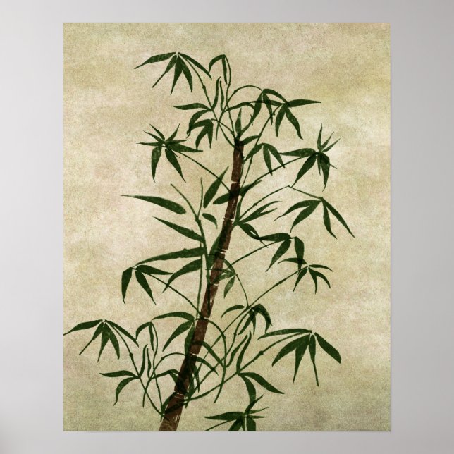 Poster Vintage Oriental Bamboo 1 (Frente)