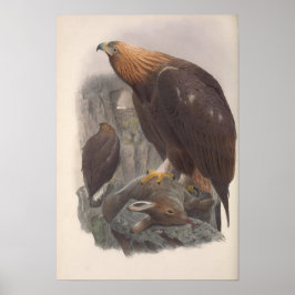Poster Vintage Ouro Eagle Bird