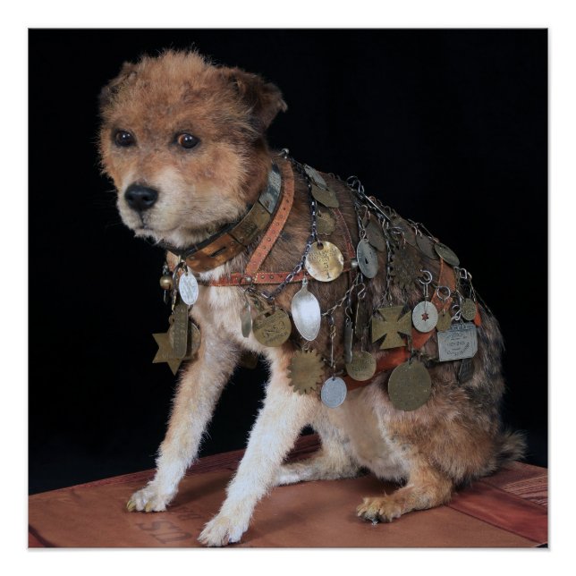 Pôster VINTAGE ~ OWNEY o cão Nova Iorque ~ (Frente)