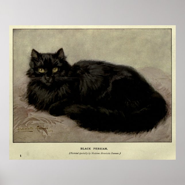 Poster Vintage Painting of a Black Cat (1903) (Frente)