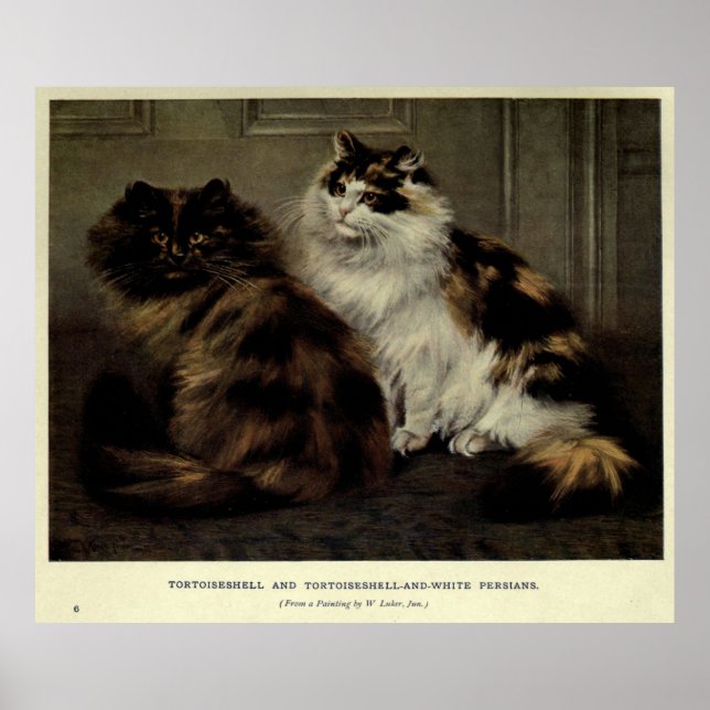 Poster Vintage Painting of Fluffy Cats (1902) (Frente)