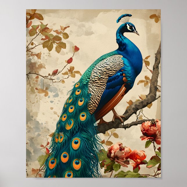 Poster Vintage Peacock Splendor (Frente)