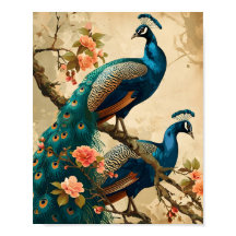 Vintage Peacock Splendor