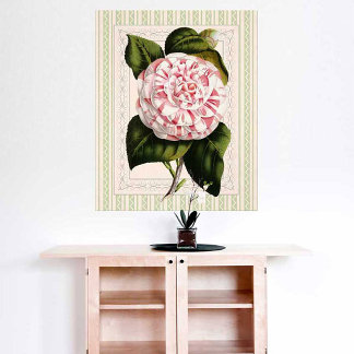 Pôster Vintage Pink e White Camellia Shabby Elegance