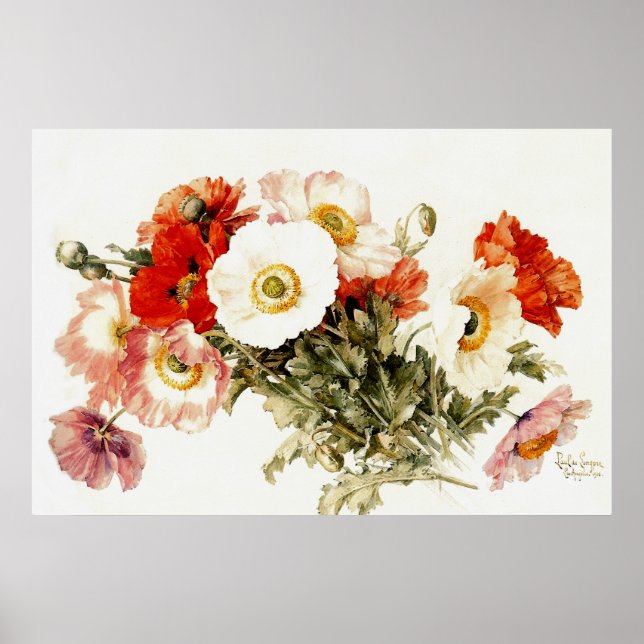 Poster Vintage Poppies (Frente)