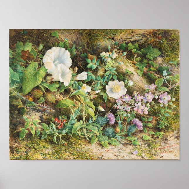 Poster Vintage pretty petunias flowers floral painting (Frente)