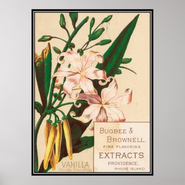 Pôster Vintage: publicidade comida - (Frente)