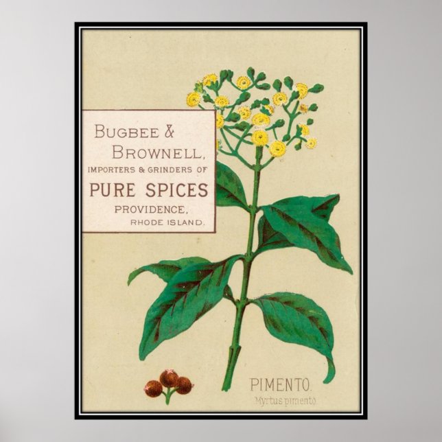 Poster Vintage: publicidade comida - (Frente)