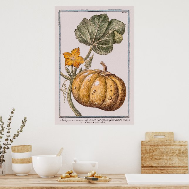 Poster Vintage Pumpkin de Giorgio Bonelli (Cozinha)