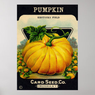 Poster Vintage Pumpkin Seed Packet - Print