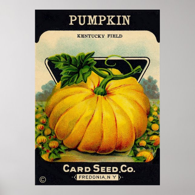 Poster Vintage Pumpkin Seed Packet - Print (Frente)