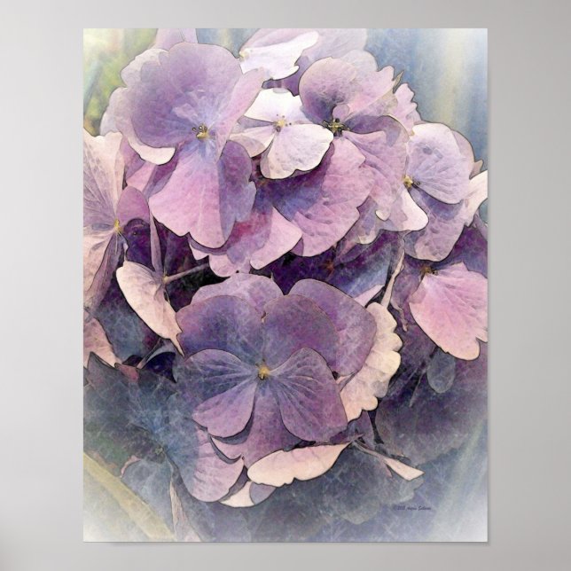 Pôster Vintage Purple HydrangeasPhoto Art (Frente)