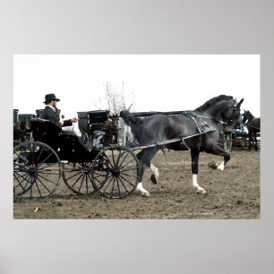 Pôster Vintage que conduz o cavalo