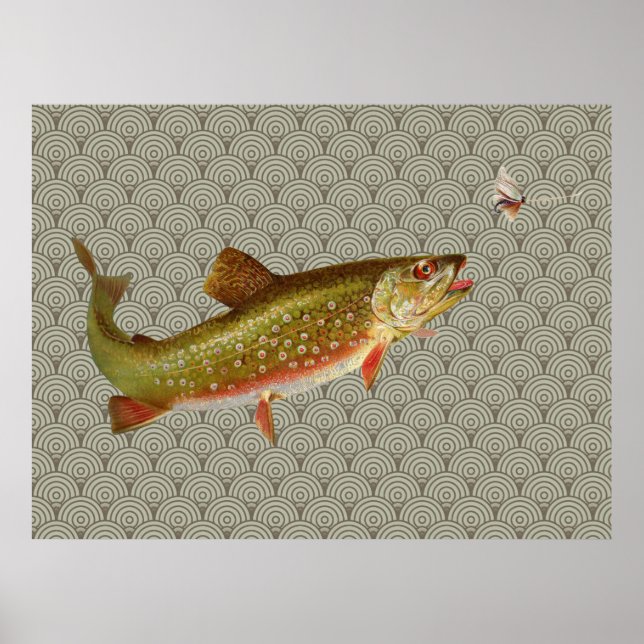 Pôster Vintage Rainbow Troubleshoot Fly Fisheries (Frente)