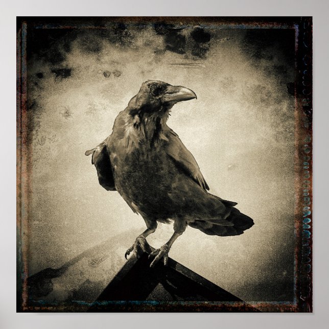Poster Vintage Raven Foto (Frente)