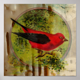 Pôster Vintage Red Bird